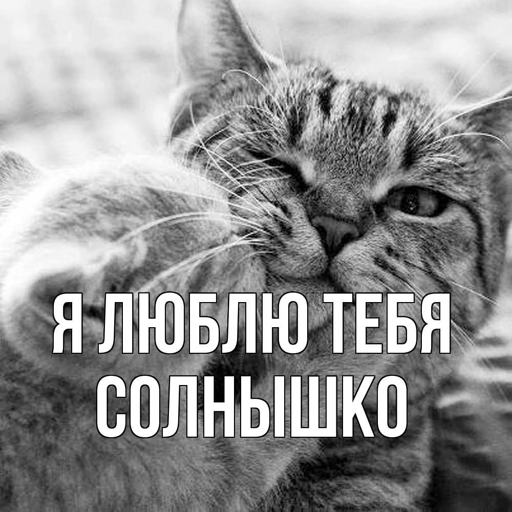 Открытка  с именем. Солнышко, Я люблю тебя  