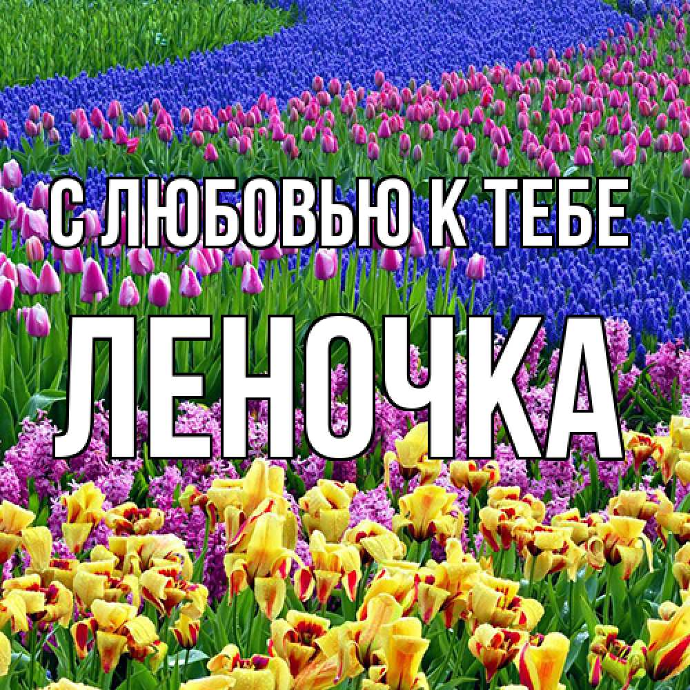 Открытка  с именем. ЛЕНОЧКА, С любовью к тебе  