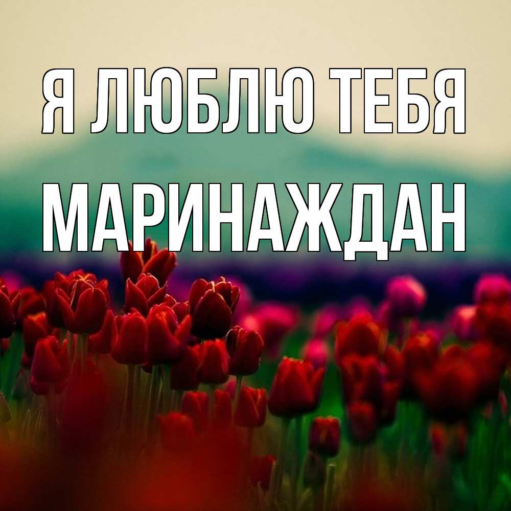 Открытка  с именем. Маринаждан, Я люблю тебя  