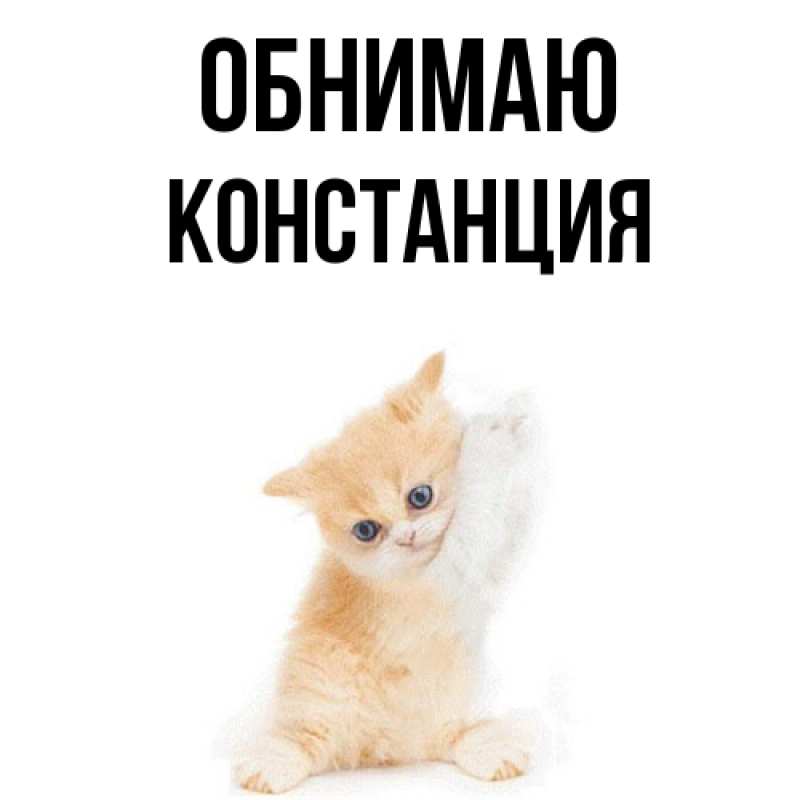 Картинка Обнимаю, Констанция