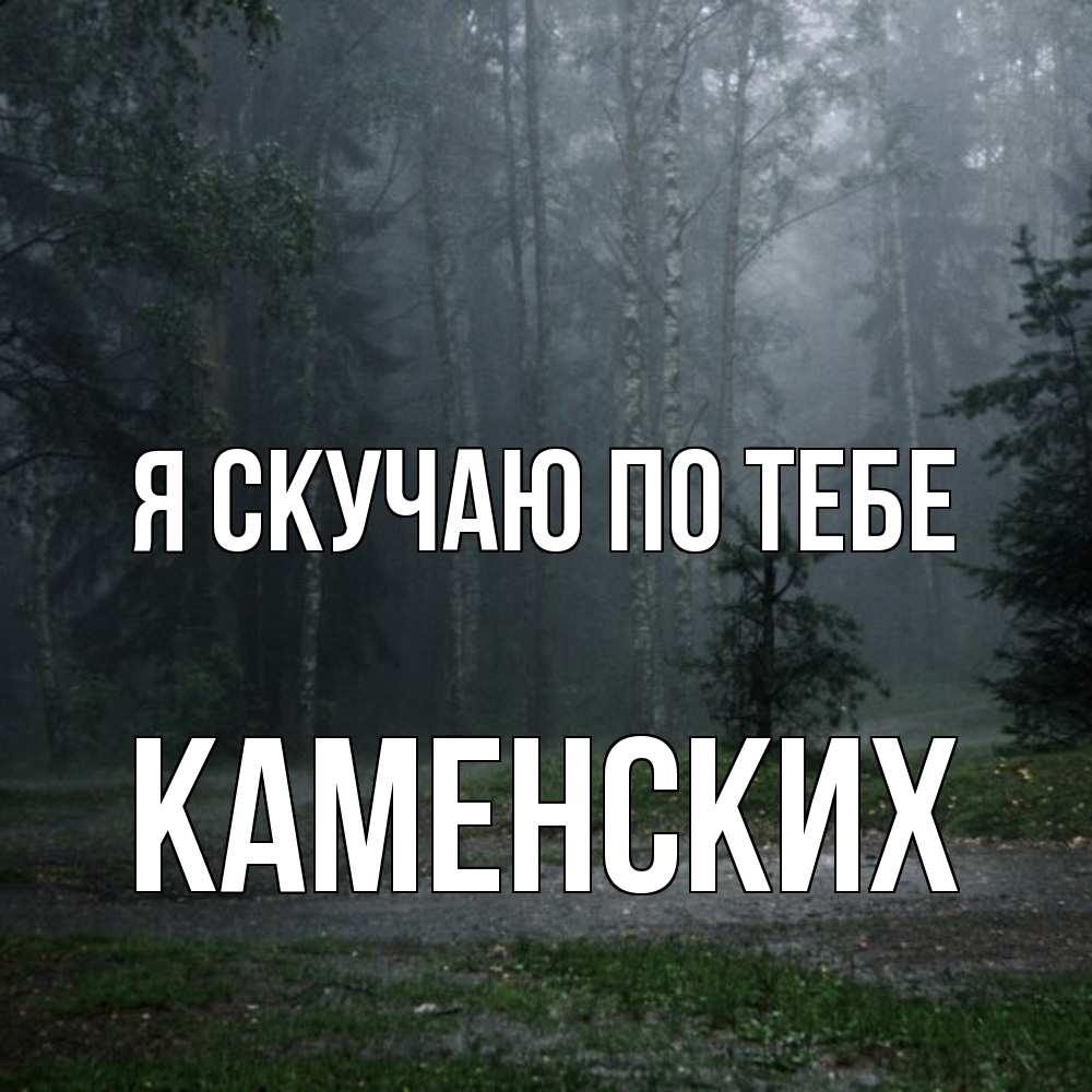 Открытка  с именем. Каменских, Я скучаю по тебе  
