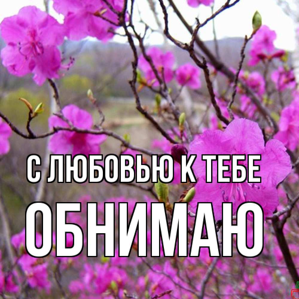 Открытка  с именем. Обнимаю, С любовью к тебе  