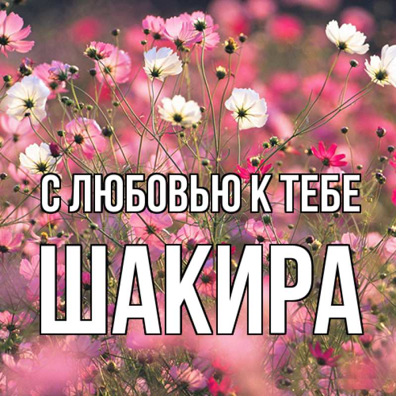 Картинка С любовью к тебе, Шакира