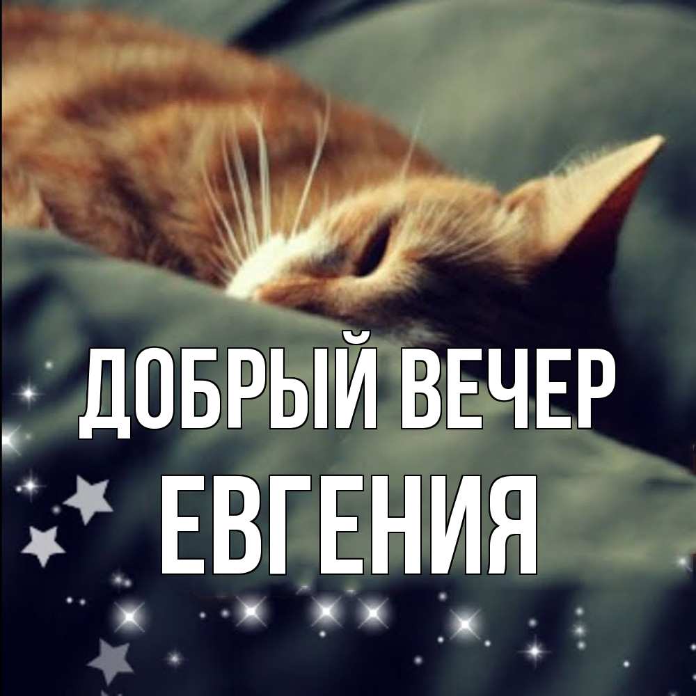 Открытка  с именем. Евгения, Добрый вечер  
