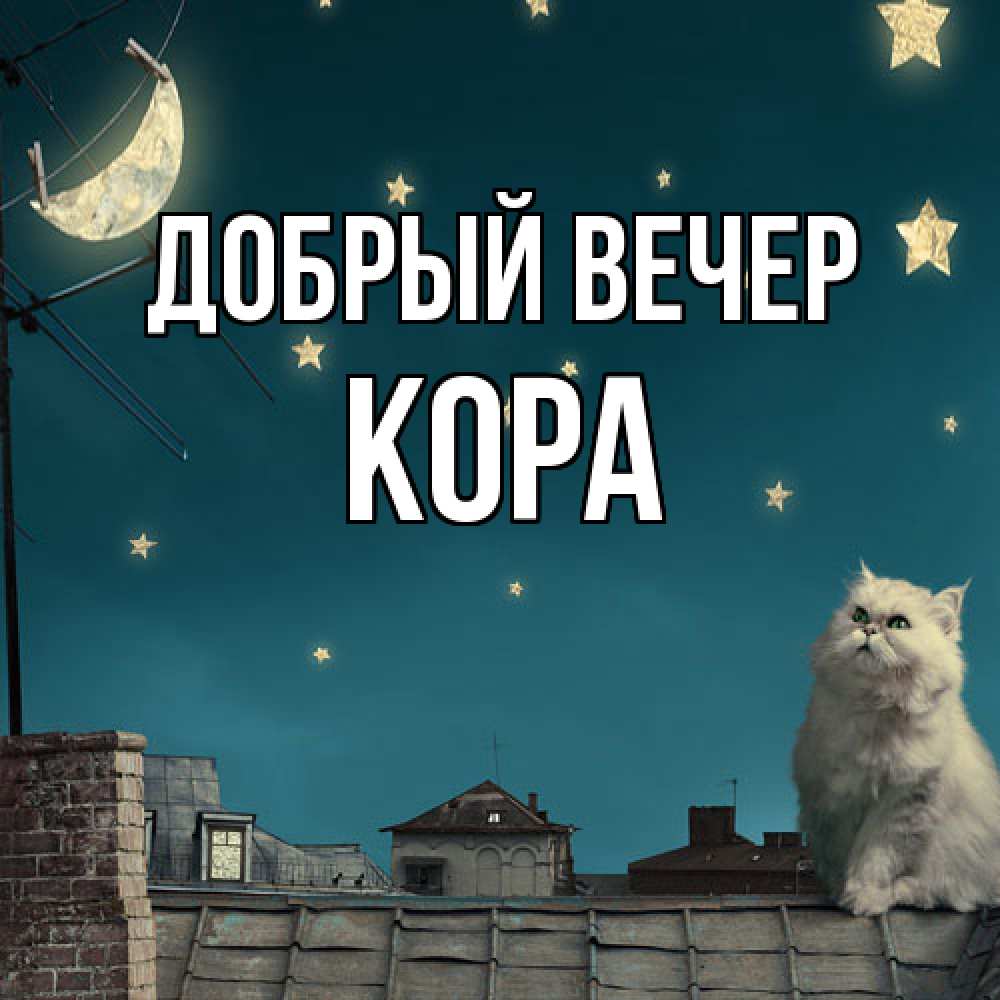 Открытка  с именем. Кора, Добрый вечер  