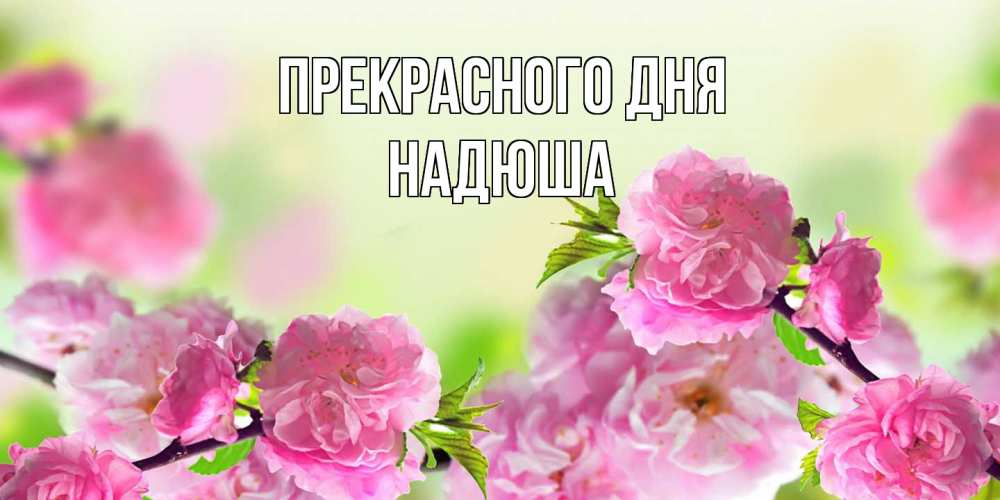 Открытка  с именем. Надюша, Прекрасного дня  