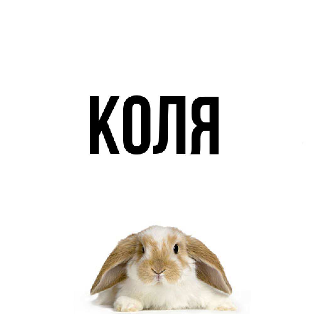 Открытка  с именем. коля, Главная  