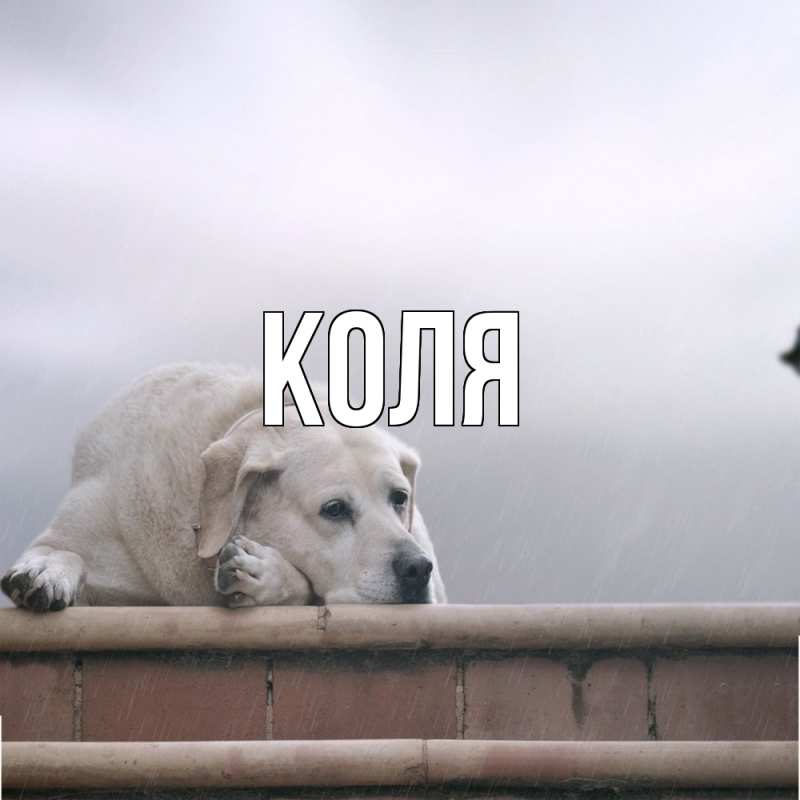 Картинка  с именем , коля