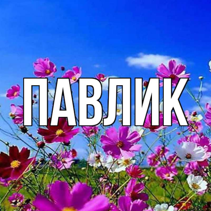 Картинка  с именем , Павлик