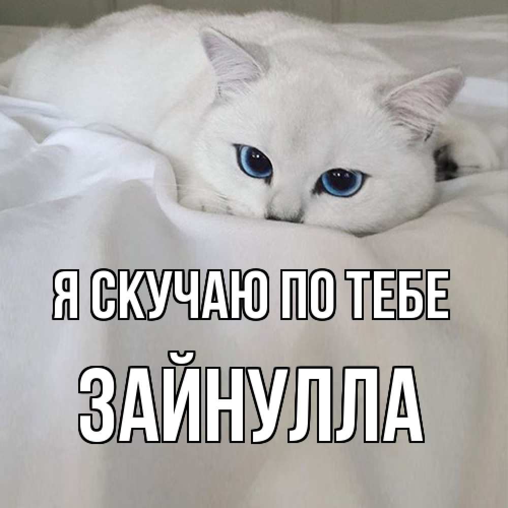 Открытка  с именем. Зайнулла, Я скучаю по тебе  