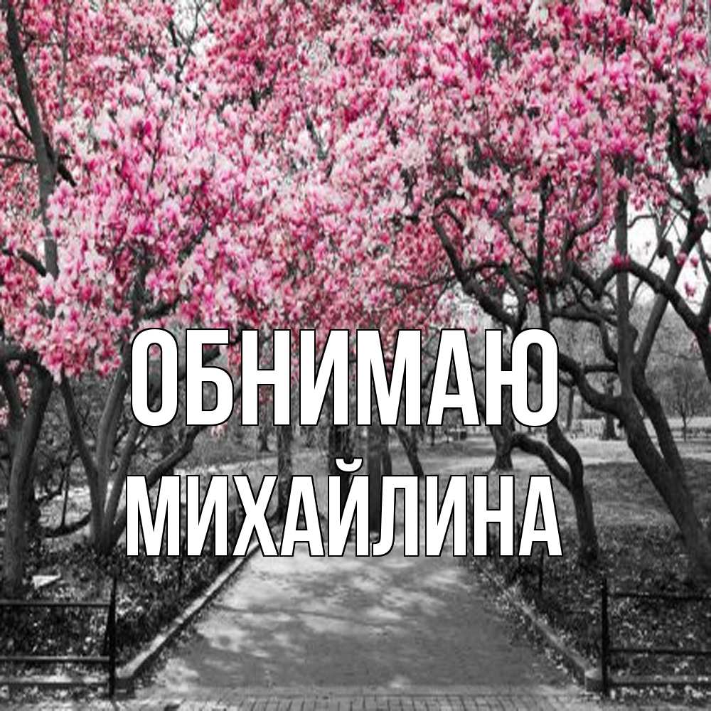 Открытка  с именем. Михайлина, Обнимаю  