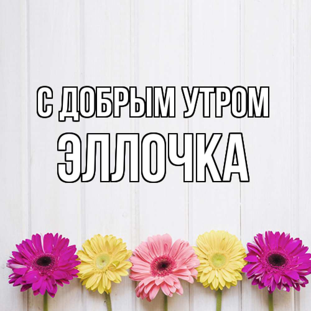Открытка  с именем. Эллочка, С добрым утром  