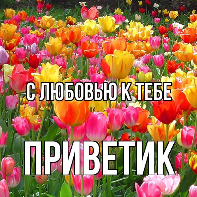 Картинка С любовью к тебе, приветик