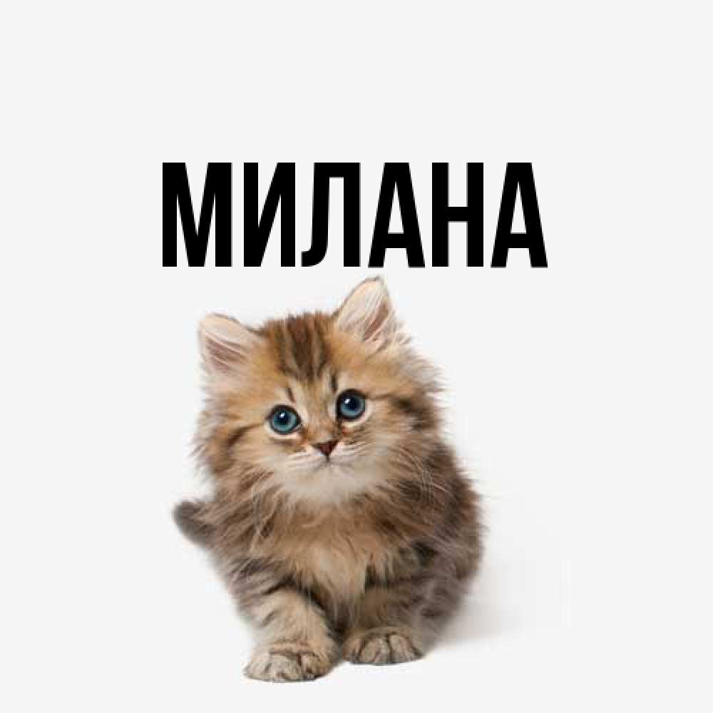 Открытка  с именем. Милана, Главная  
