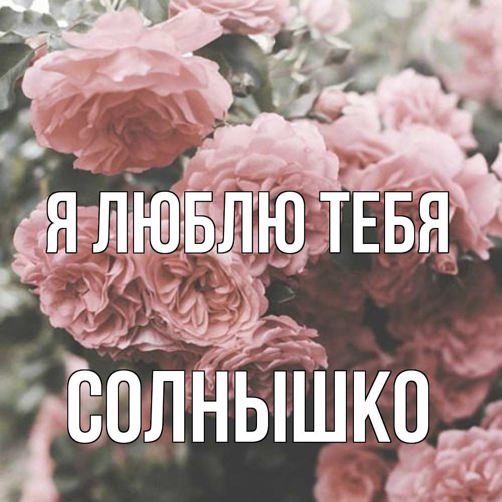 Открытка  с именем. Солнышко, Я люблю тебя  