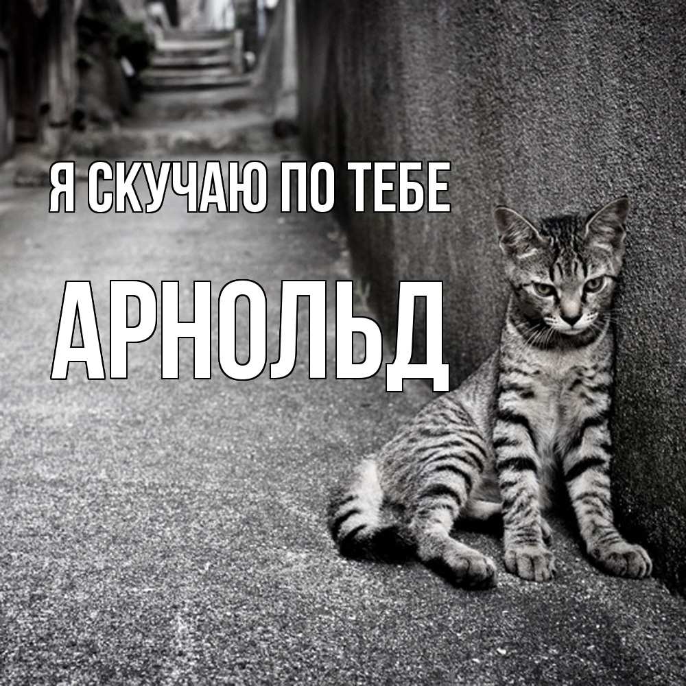 Открытка  с именем. Арнольд, Я скучаю по тебе  