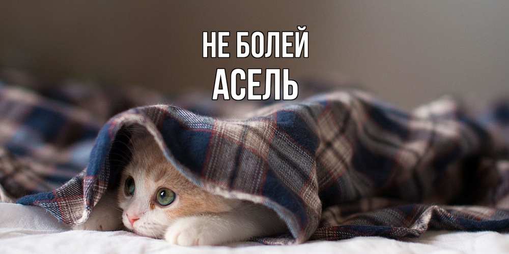 Открытка  с именем. Асель, Не болей  