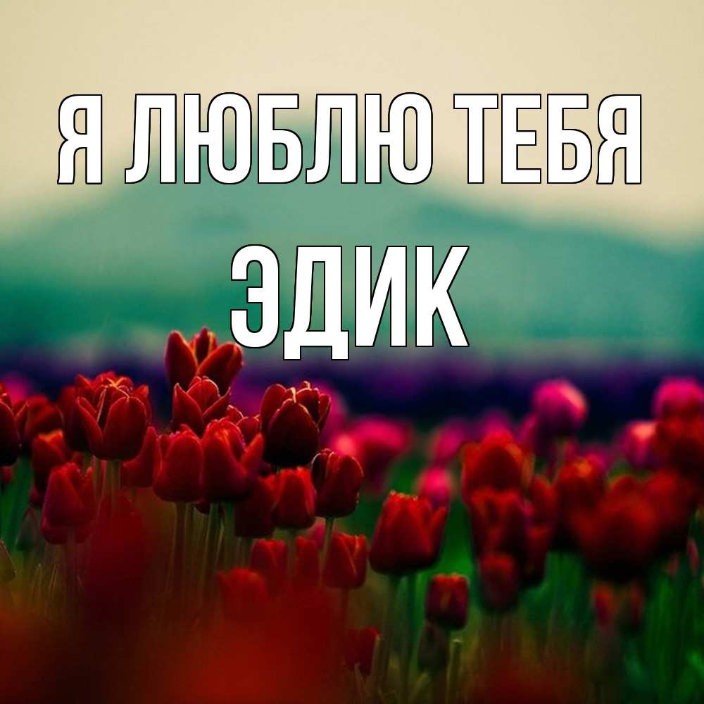 Открытка  с именем. Эдик, Я люблю тебя  