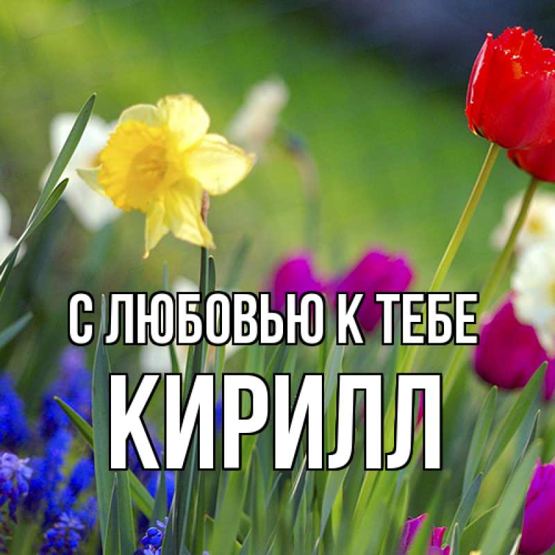 Картинка С любовью к тебе, Кирилл