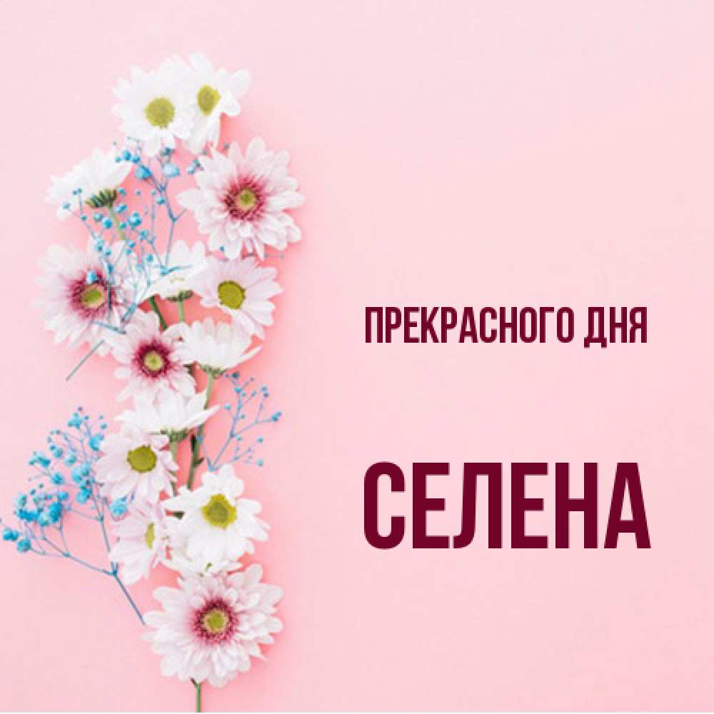 Открытка  с именем. Селена, Прекрасного дня  