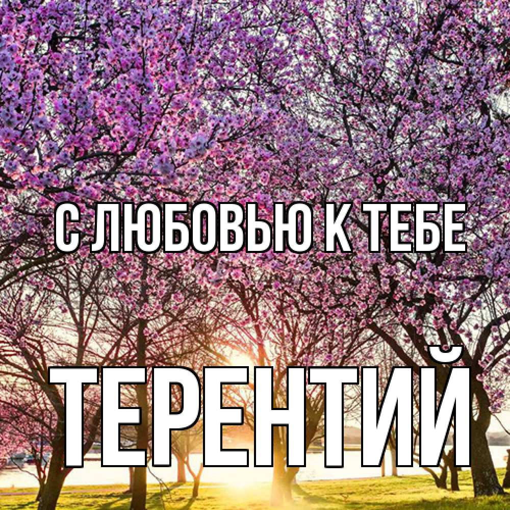 Открытка  с именем. Терентий, С любовью к тебе  