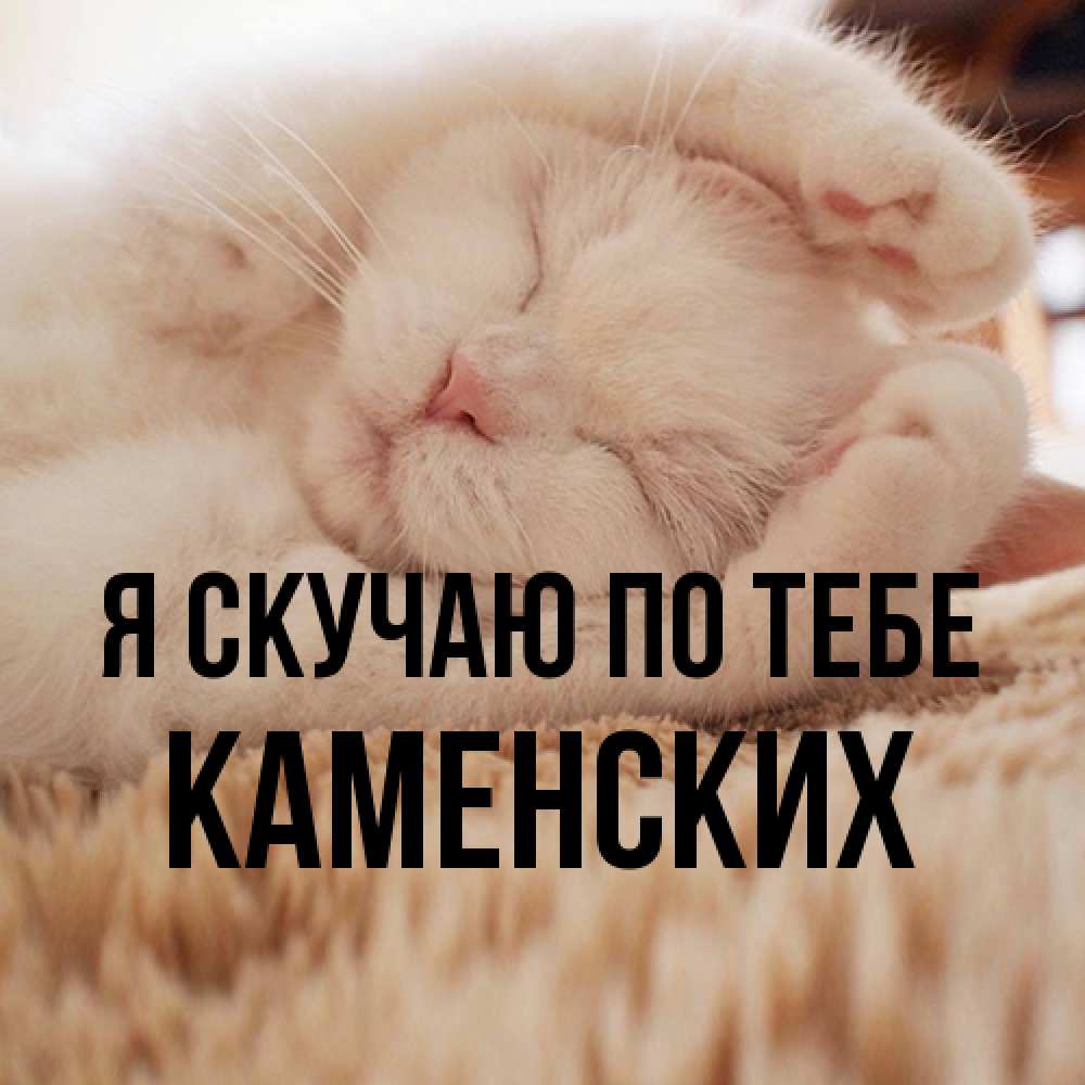 Открытка  с именем. Каменских, Я скучаю по тебе  