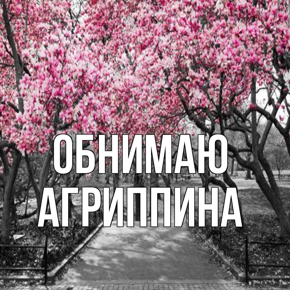 Открытка  с именем. Агриппина, Обнимаю  