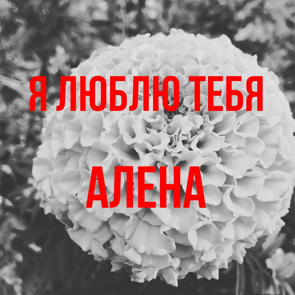 Открытка  с именем. Алена, Я люблю тебя  