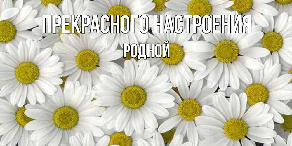 Открытка  с именем. Родной, Прекрасного настроения  