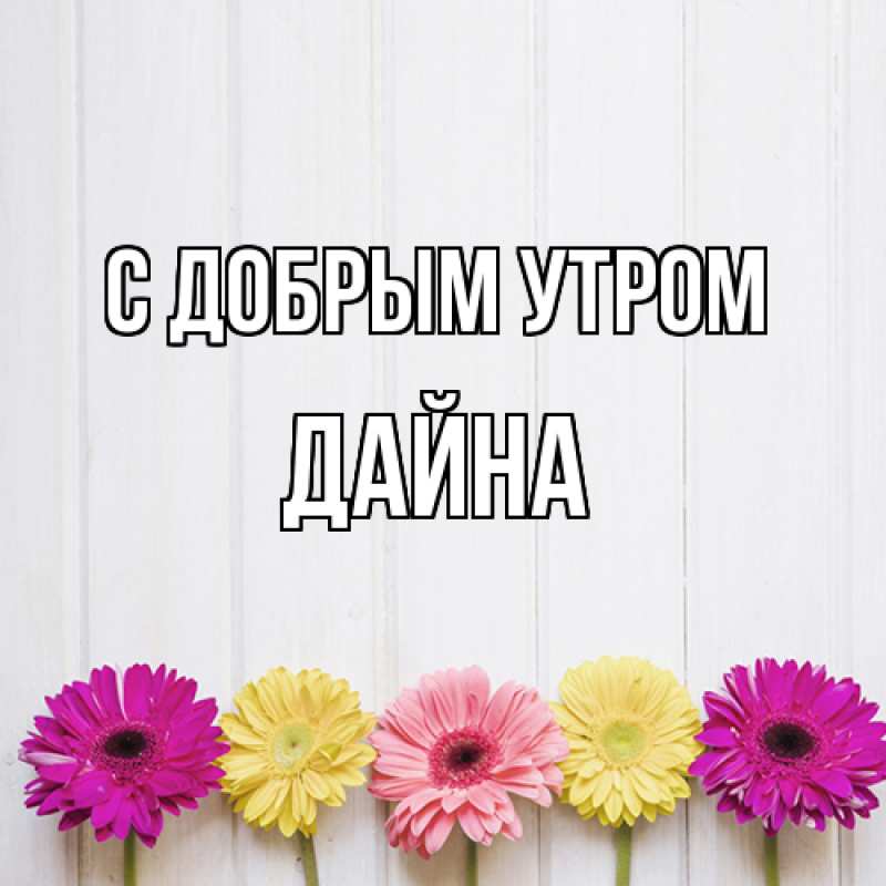 Картинка С добрым утром, Дайна