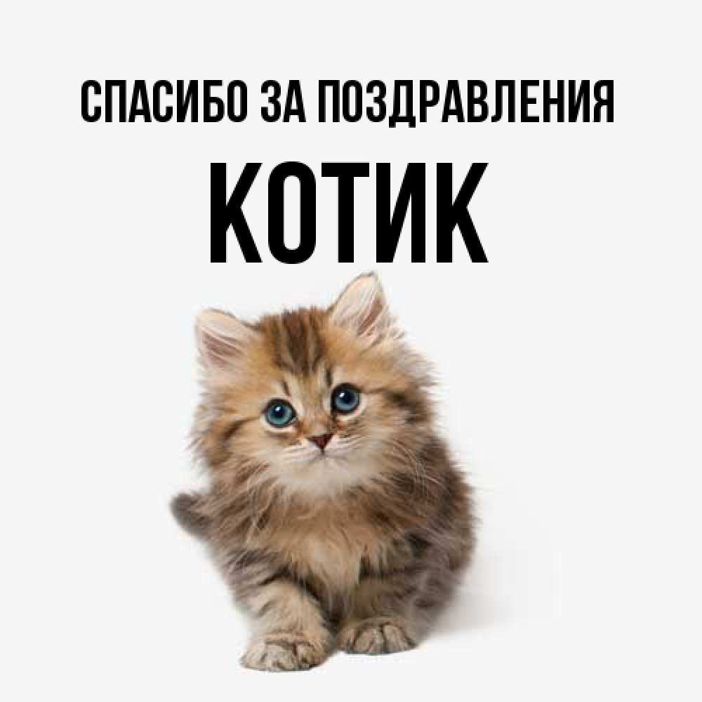 Открытка  с именем. КОТИК, Спасибо за поздравления  