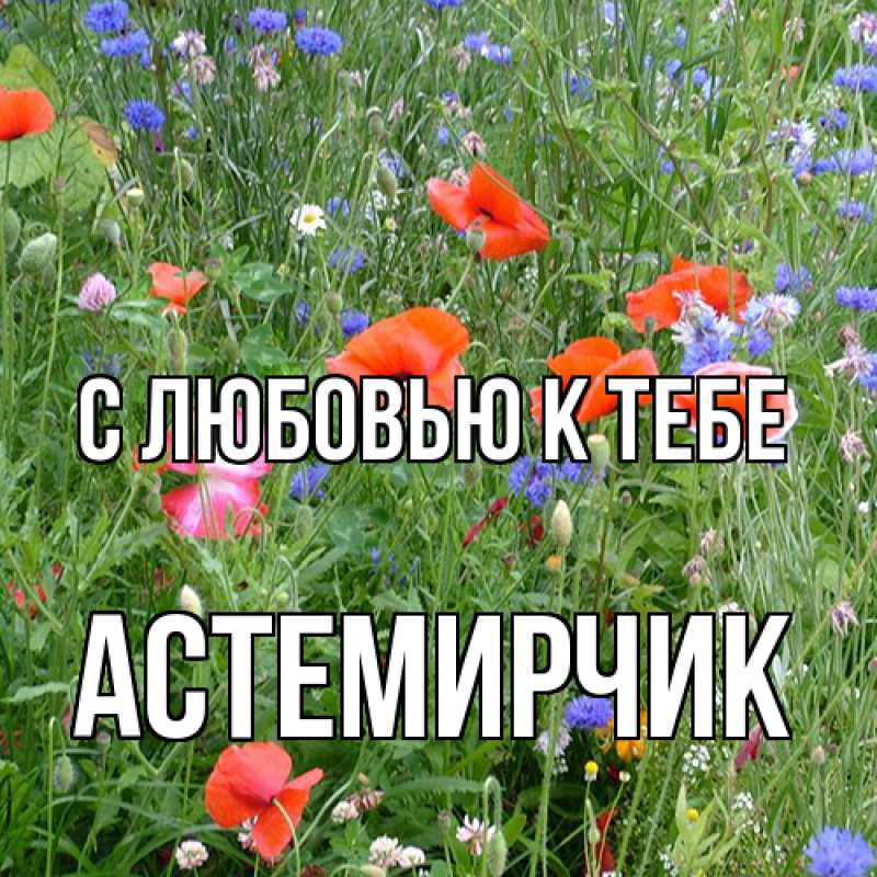 Картинка С любовью к тебе, Астемирчик