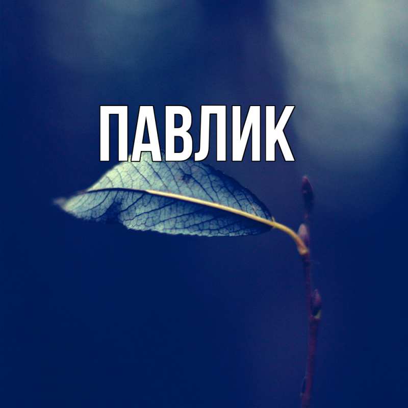 Картинка  с именем , Павлик