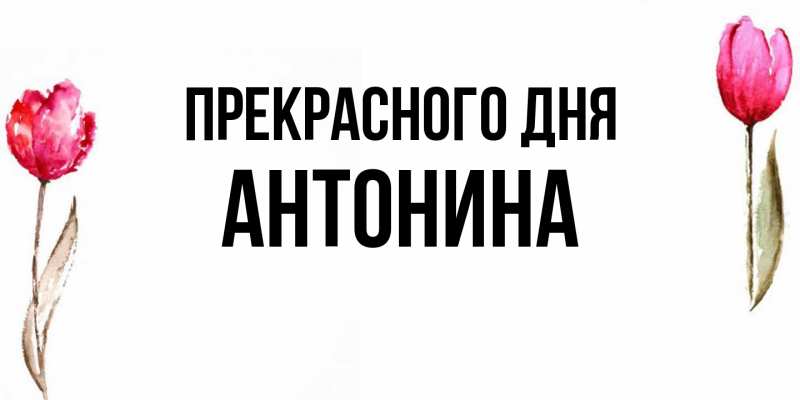 Картинка Прекрасного дня, Антонина