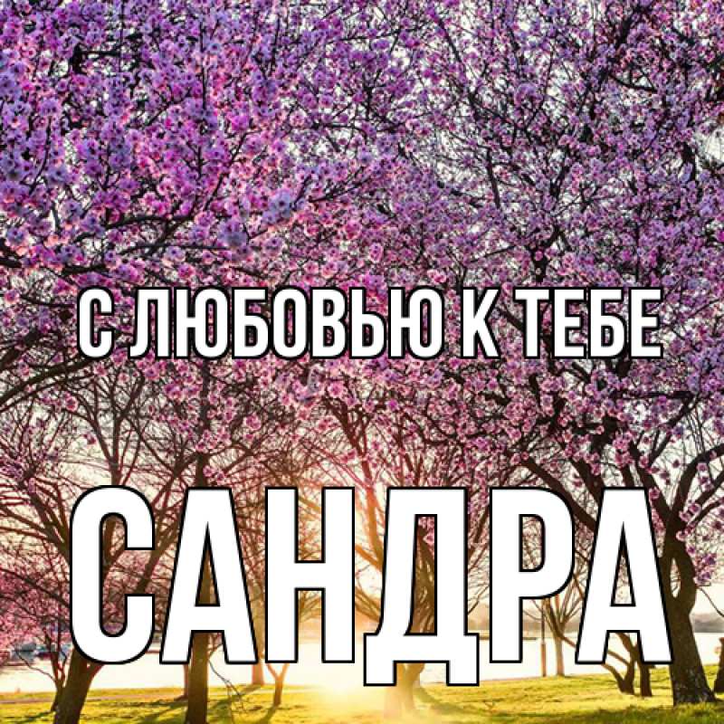 Картинка С любовью к тебе, Сандра