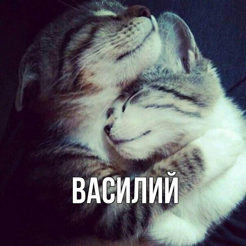 Открытка  с именем. Василий, Главная  