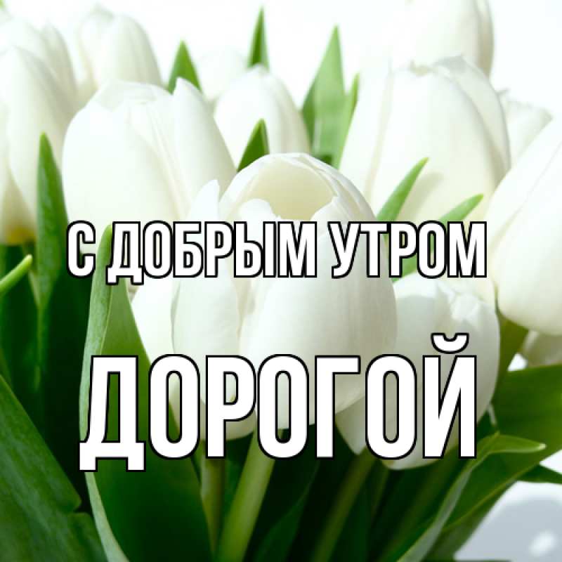 Картинка С добрым утром, Дорогой