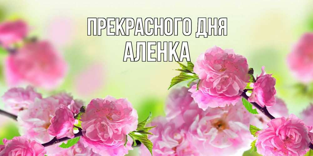 Открытка  с именем. Аленка, Прекрасного дня  