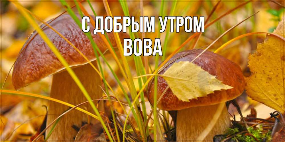 Открытка  с именем. Вова, С добрым утром  