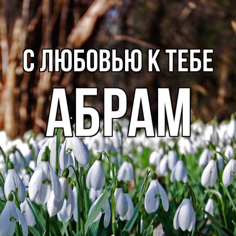 Картинка С любовью к тебе, Абрам