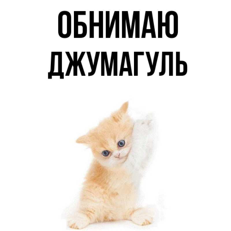 Картинка Обнимаю, Джумагуль