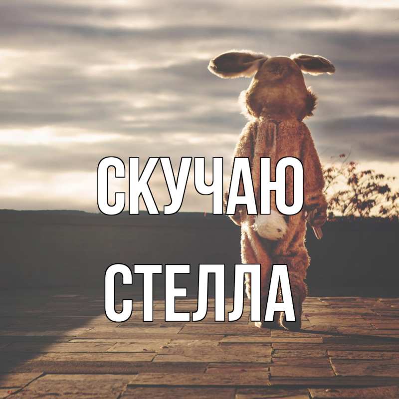 Картинка Скучаю, Стелла