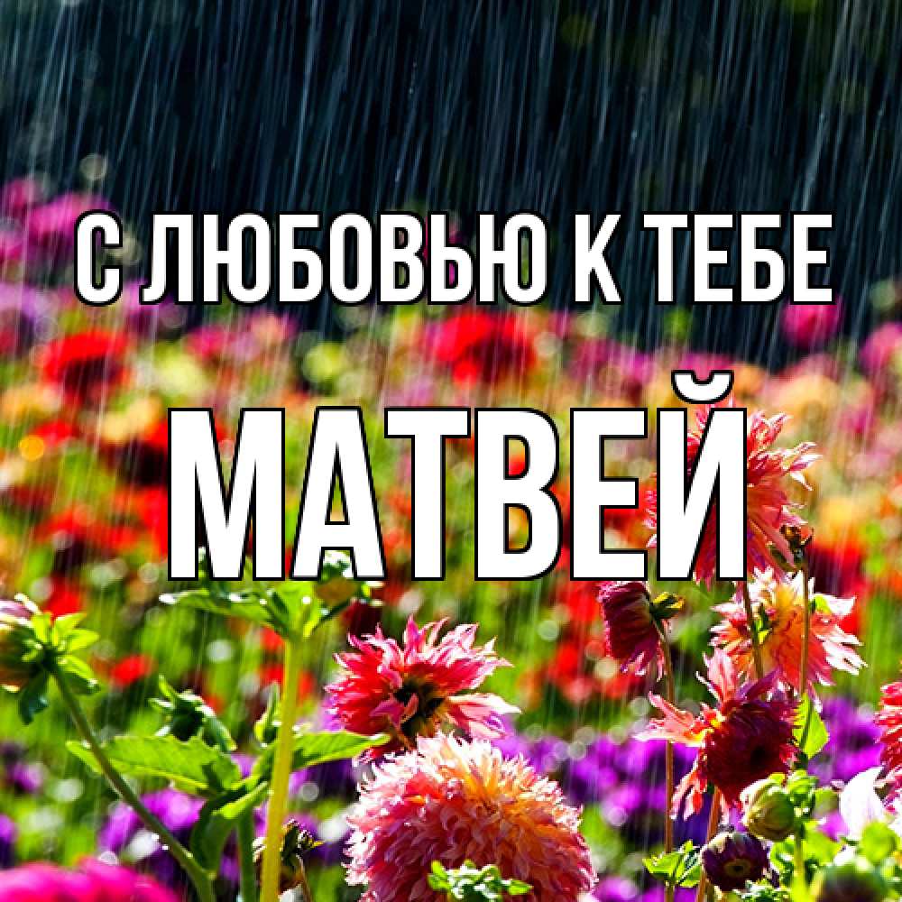 Открытка  с именем. Матвей, С любовью к тебе  