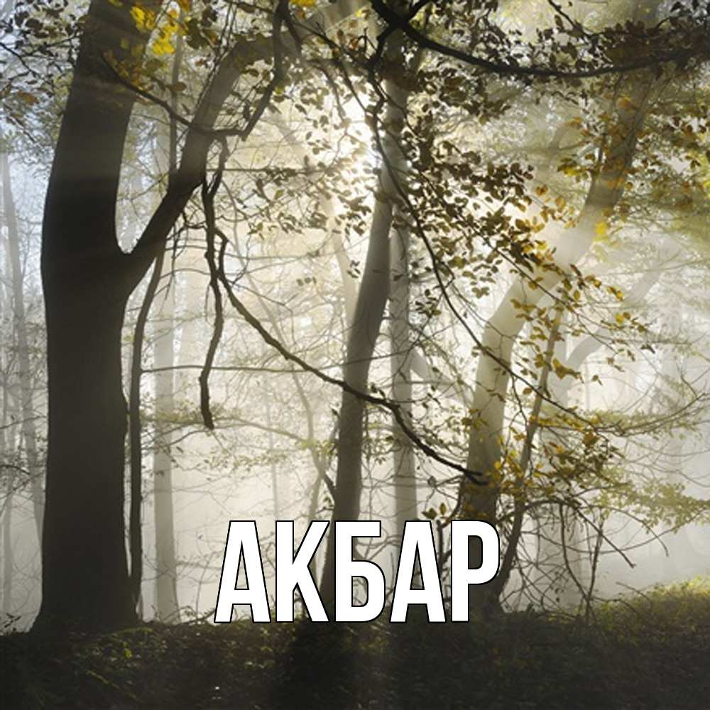 Открытка  с именем. Акбар, Главная  