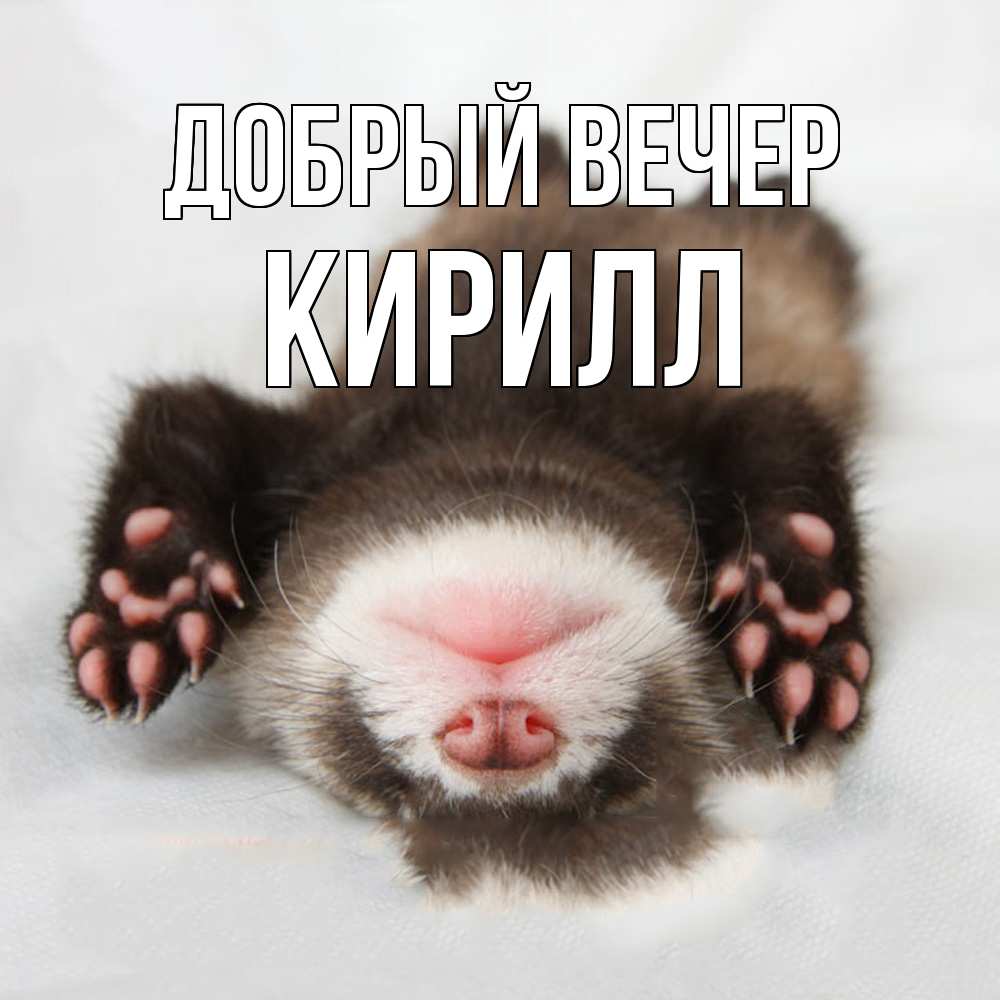 Открытка  с именем. Кирилл, Добрый вечер  