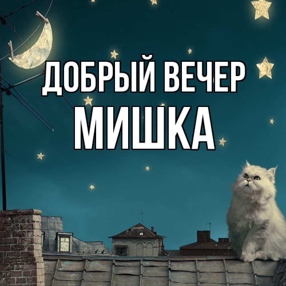 Открытка  с именем. Мишка, Добрый вечер  