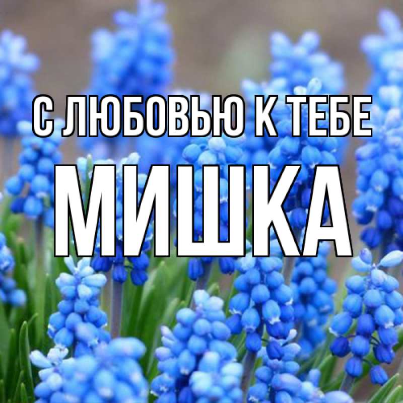 Картинка С любовью к тебе, Мишка