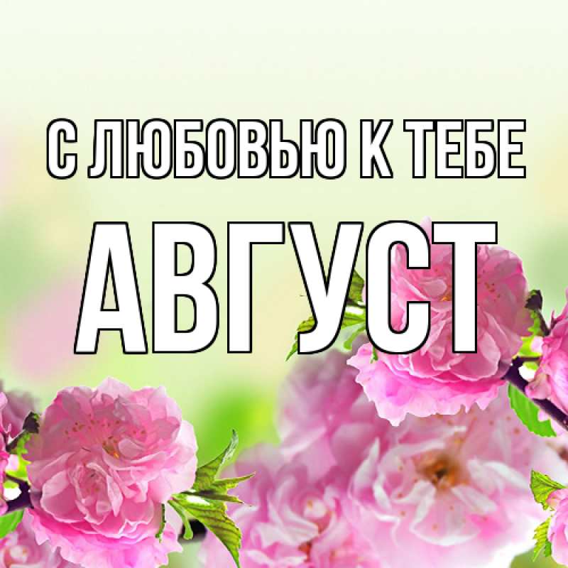 Картинка С любовью к тебе, Август