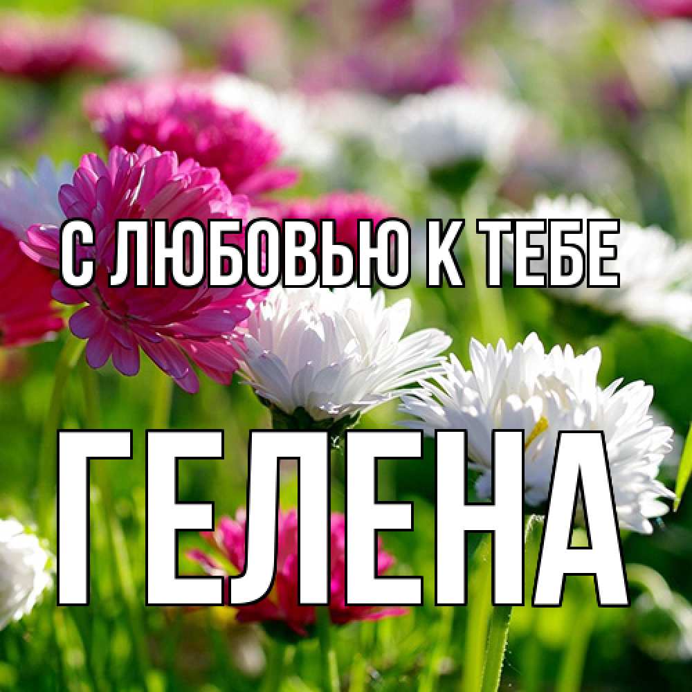 Открытка  с именем. Гелена, С любовью к тебе  