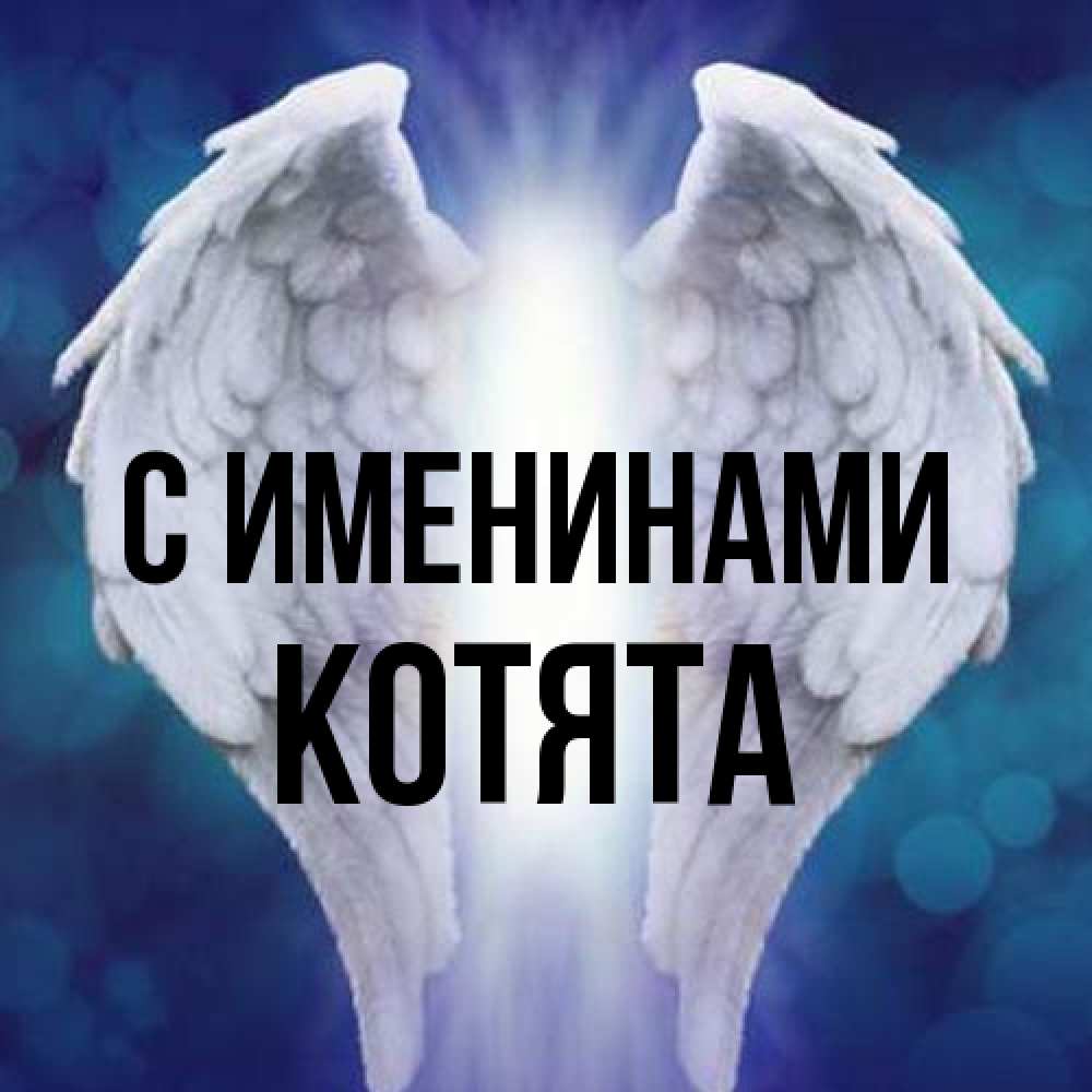 Открытка  с именем. Котята, С именинами  